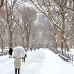 Why Is the U.S. Freezing While the World Warms?