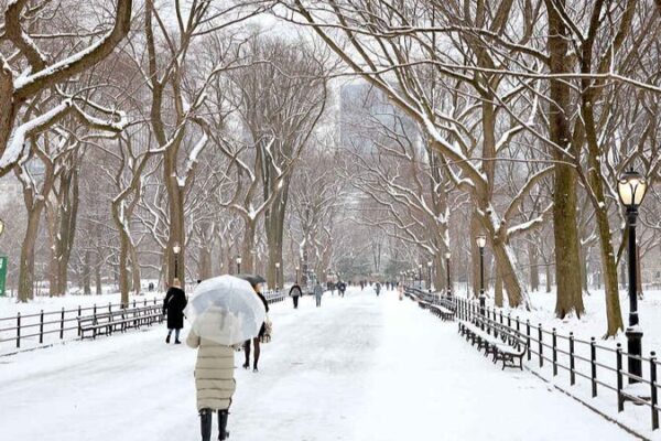 Why Is the U.S. Freezing While the World Warms?