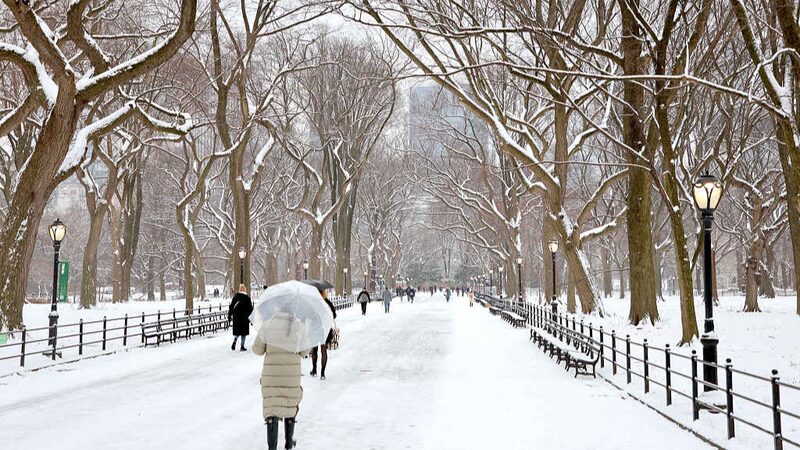 Why Is the U.S. Freezing While the World Warms?