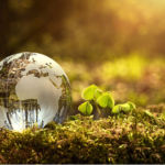 Why_We_Need_the_Global_Development_Initiative_Today