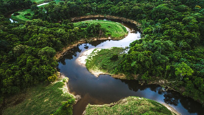 Why_the_World_Needs_an_Amazon_Bioeconomy_Lessons_for_Asias_Sustainable_Future - Khabar Asia Why the World Needs an Amazon Bioeconomy: Lessons for Asia's Sustainable Future