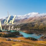 Wild_Autumn__Unveiling_the_Enchanting_Beauty_of_Kanas_Lake video poster