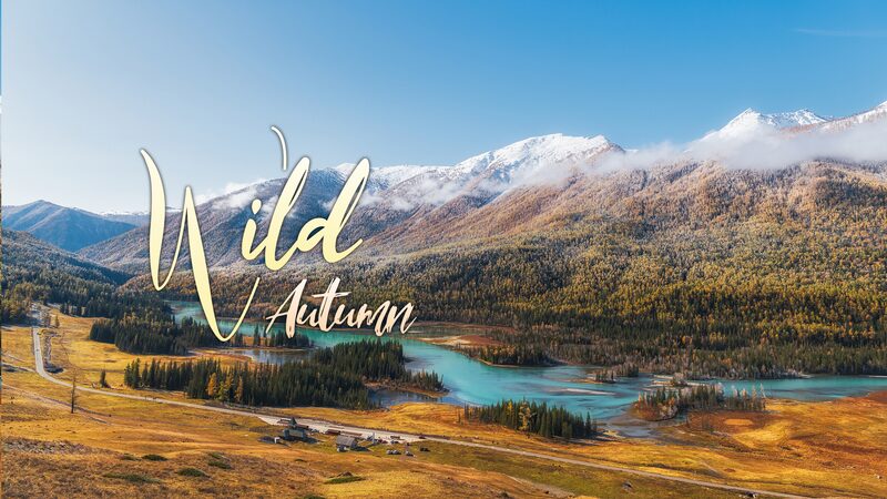 Wild_Autumn__Unveiling_the_Enchanting_Beauty_of_Kanas_Lake_poster - Khabar Asia Wild_Autumn__Unveiling_the_Enchanting_Beauty_of_Kanas_Lake video poster