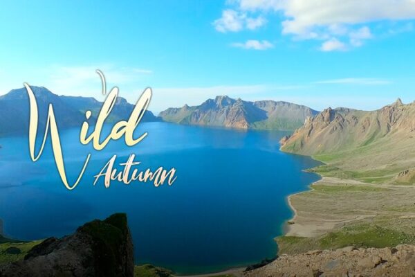 Wild_Autumn_at_Changbai_Mountain__Nature_s_Living_Museum video poster
