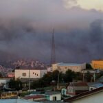 Wildfire Devastates Chile's National Botanical Garden, Highlights Global Conservation Concerns