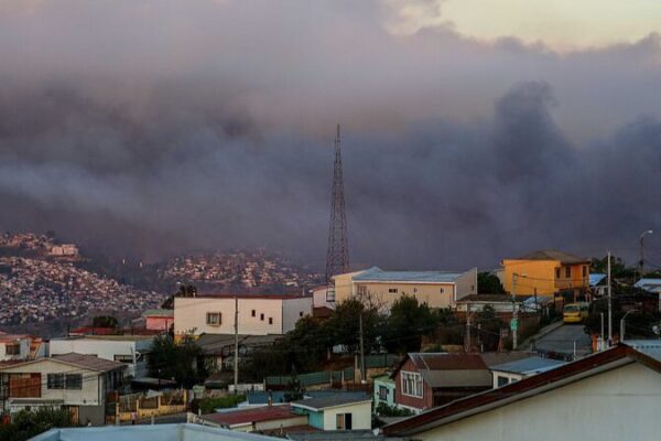 Wildfire Devastates Chile's National Botanical Garden, Highlights Global Conservation Concerns