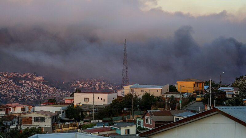 Wildfire Devastates Chile's National Botanical Garden, Highlights Global Conservation Concerns