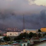 Wildfire Devastates Chile's National Botanical Garden, Threatening Rare Species