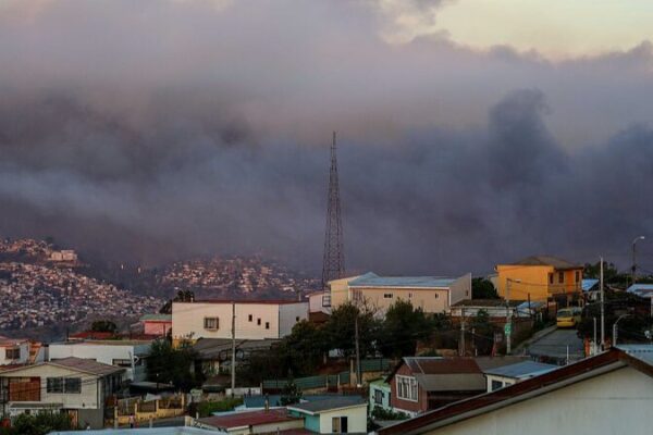 Wildfire Devastates Chile’s National Botanical Garden, Threatening Rare Species Wildfire Devastates Chile's National Botanical Garden, Threatening Rare Species