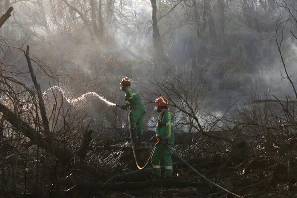 Wildfire Erupts on Mount Parnitha Near Athens, Massive Firefighting Effort Deployed Wildfire Erupts on Mount Parnitha Near Athens, Massive Firefighting Effort Deployed