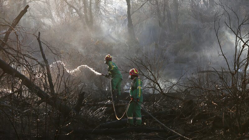 Wildfire Erupts on Mount Parnitha Near Athens, Massive Firefighting Effort Deployed