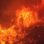 Wildfire_in_Izmir_Forces_Hundreds_to_Evacuate_as_Flames_Reach_Homes