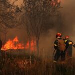 Wildfires Near Athens Brought Under Control After Weekend Blaze
