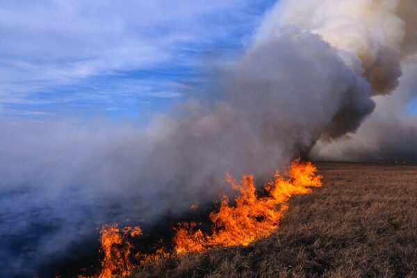 Wildfires_Ravage_Over_685_500_Hectares_in_Mongolia