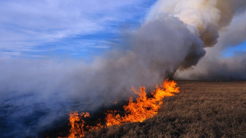 Wildfires_Ravage_Over_685_500_Hectares_in_Mongolia - Khabar Asia Wildfires_Ravage_Over_685_500_Hectares_in_Mongolia
