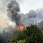 Wildfires_Ravage_Southern_Europe_Amid_Intense_Heat_Wave