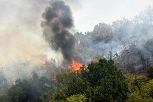 Wildfires Ravage Southern Europe Amid Intense Heat Wave Wildfires_Ravage_Southern_Europe_Amid_Intense_Heat_Wave
