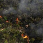 Wildfires in Brazil, Venezuela, Bolivia Reach Record February Emissions