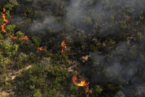 Wildfires in Brazil, Venezuela, Bolivia Reach Record February Emissions Wildfires in Brazil, Venezuela, Bolivia Reach Record February Emissions