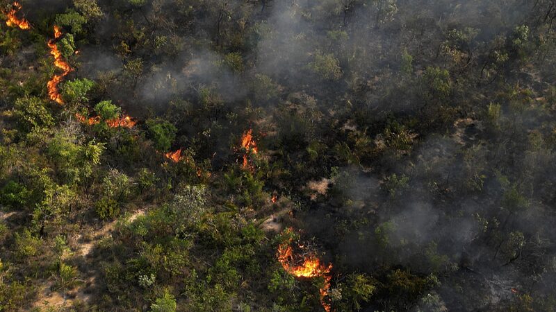 Wildfires in Brazil, Venezuela, Bolivia Reach Record February Emissions
