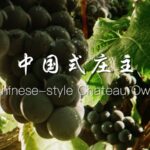 Winemaker Zhang Yanzhi Fuses Tradition and Innovation with Chinese-Style Chateau in Helan Mountains video poster