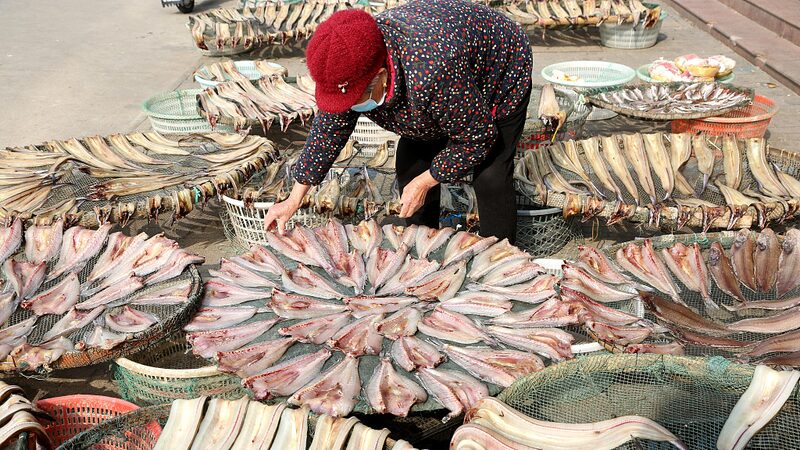 Winter_Fish_Harvest_Brings_Bounty_to_Lianyungang_Fishermen - Khabar Asia Winter Fish Harvest Brings Bounty to Lianyungang Fishermen