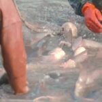 Winter Fishing Tradition Thrives on China's Biliu River Ahead of New Year video poster