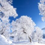 Winter Magic Unfolds in China as Major Snow Solar Term Arrives