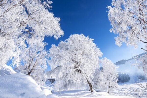 Winter Magic Unfolds in China as Major Snow Solar Term Arrives Winter Magic Unfolds in China as Major Snow Solar Term Arrives