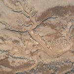 Winter Unveils 'Tree of the Earth' on China's Yellow River