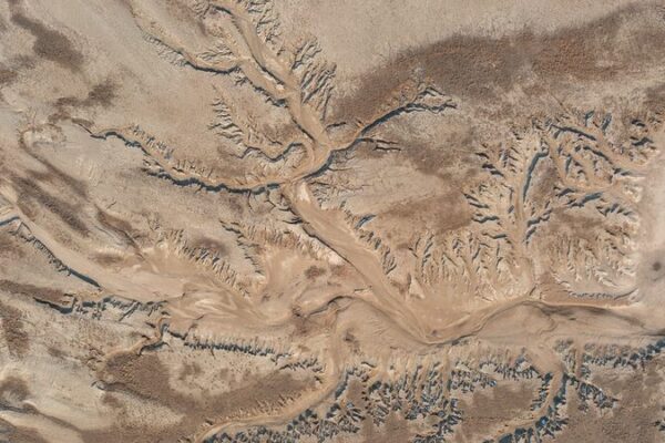 Winter Unveils ‘Tree of the Earth’ on China’s Yellow River Winter Unveils 'Tree of the Earth' on China's Yellow River