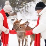 Winter_Wonderland__Visitors_Flock_to_Northeast_China_s_4th_Forest_Ice_and_Snow_Fun_Season