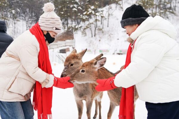 Winter Wonderland: Visitors Flock to Northeast China’s 4th Forest Ice and Snow Fun Season Winter_Wonderland__Visitors_Flock_to_Northeast_China_s_4th_Forest_Ice_and_Snow_Fun_Season
