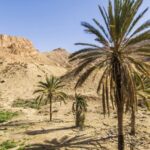 World Bank Pledges Support to Tunisia on Water Scarcity and Climate Change