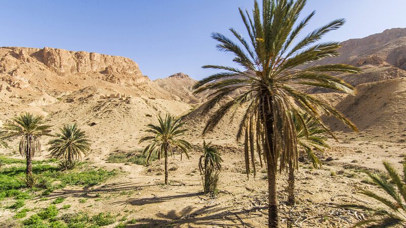 World_Bank_Pledges_Support_to_Tunisia_on_Water_Scarcity_and_Climate_Change - Khabar Asia World Bank Pledges Support to Tunisia on Water Scarcity and Climate Change