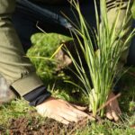 World Bank: Transforming Agriculture Could Cut a Third of Global Emissions by 2030