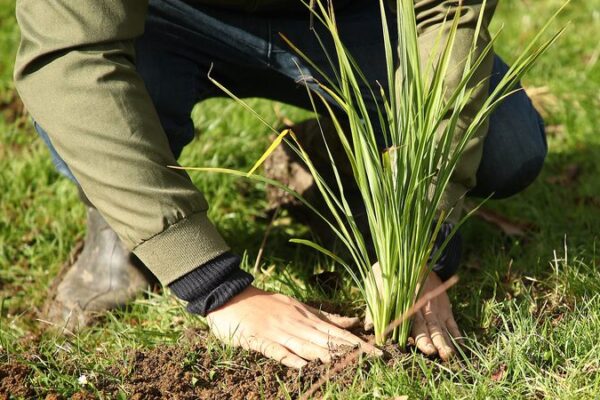 World Bank: Transforming Agriculture Could Cut a Third of Global Emissions by 2030