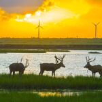 World Wetlands Day Highlights China's Progress in Restoration Efforts