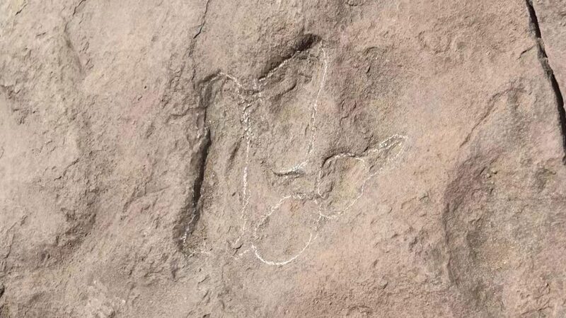 World_s_Smallest_Dinosaur_Footprints_Discovered_in_Northwest_China_s_Linxia_Geopark - Khabar Asia World_s_Smallest_Dinosaur_Footprints_Discovered_in_Northwest_China_s_Linxia_Geopark