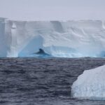 World's Largest Iceberg A23a Begins Its Final Journey Northward