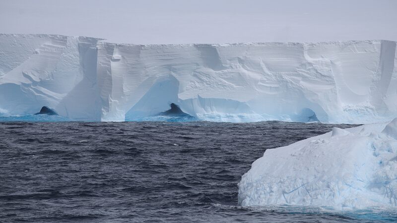 World's Largest Iceberg A23a Begins Its Final Journey Northward