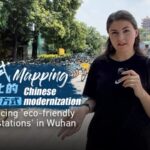 Wuhan's Eco-Friendly Cooling Stations: A Low-Carbon Oasis in the Summer Heat video poster