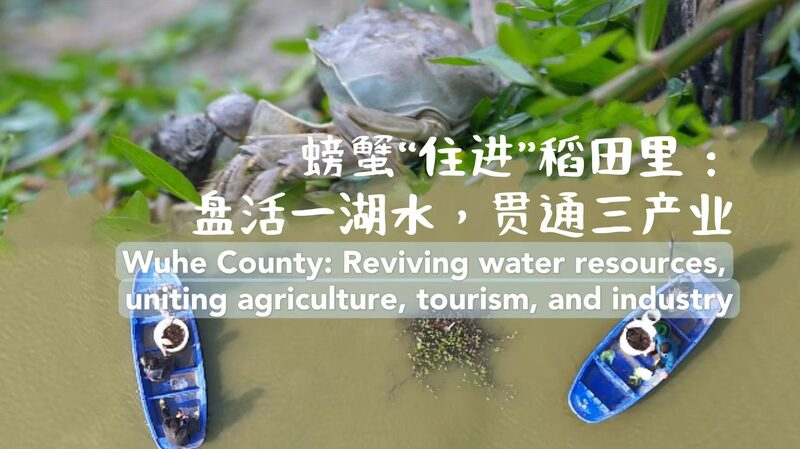 Wuhe_County_Revitalizes_Water_Resources_to_Boost_Industry_and_Tourism_poster - Khabar Asia Wuhe_County_Revitalizes_Water_Resources_to_Boost_Industry_and_Tourism video poster