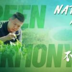 Wuyishan_National_Park__Renewing_a_Centuries_Old_Bond_with_Nature video poster