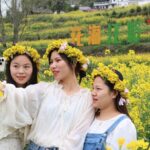Wuyuan's Rapeseed Flowers Transform the Countryside into a Golden Sea