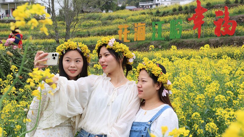 Wuyuans_Rapeseed_Flowers_Transform_the_Countryside_into_a_Golden_Sea - Khabar Asia Wuyuan's Rapeseed Flowers Transform the Countryside into a Golden Sea