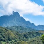Wuzhi Mountain: Hainan's Majestic Five-Fingered Peak video poster