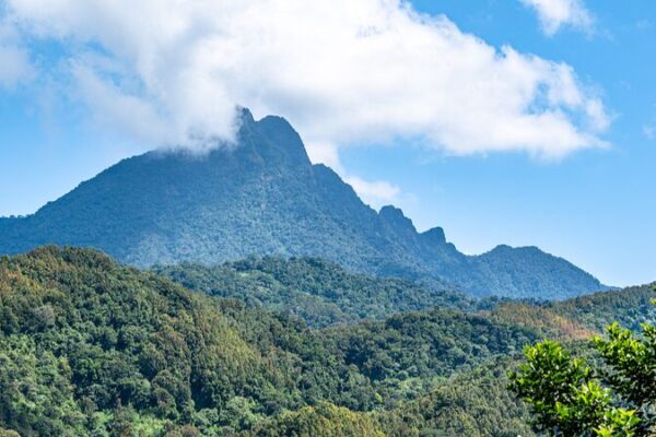 Wuzhi Mountain: Hainan's Majestic Five-Fingered Peak video poster