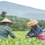 Xi Jinping Highlights 'Putting People First' in Upcoming Qiushi Journal Article