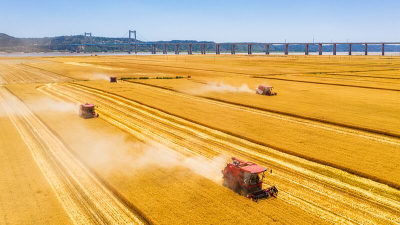 Xi_Jinping_Prioritizes_People_s_Well_being_in_2025_New_Year_Address